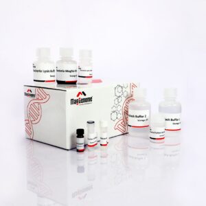 bacterial dna extraction kit