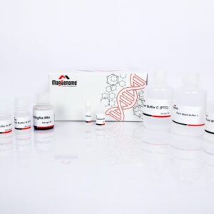 blood dna extraction kit